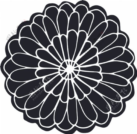 手绘黑色花卉卡通透明素材