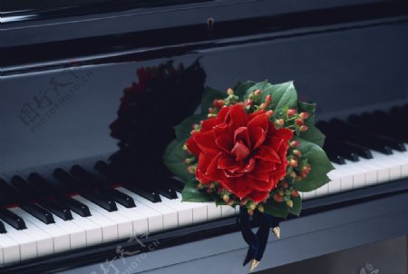 钢琴上的红花
