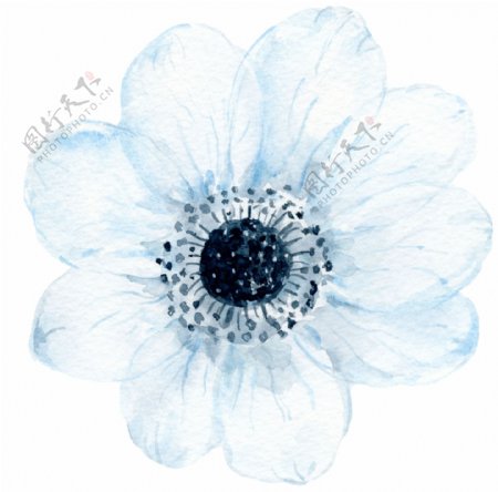 冰蓝花瓣卡通透明素材