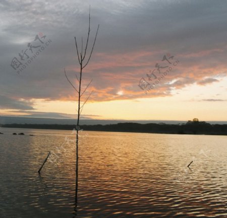 夕阳下的河道风景