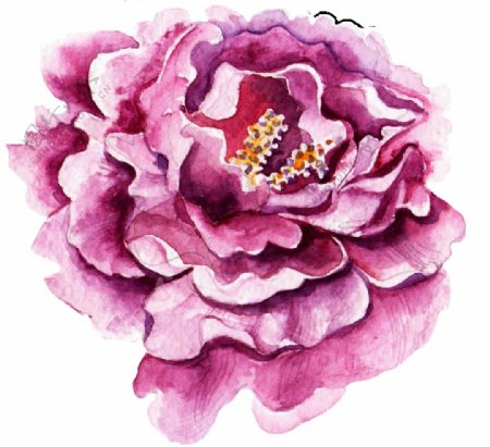 紫白花蕊透明装饰素材