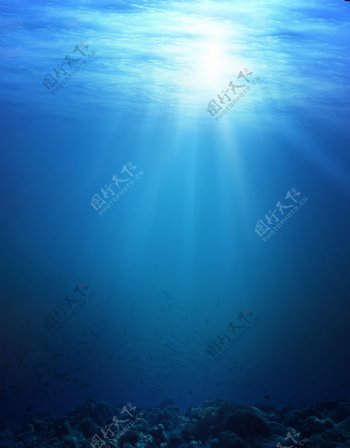 海底世界水下素材