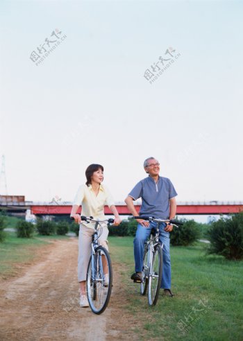 老年人自行车健身运动