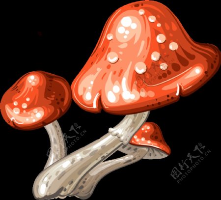 手绘抽象蘑菇元素
