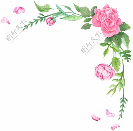清新春季花卉边框透明装饰素材