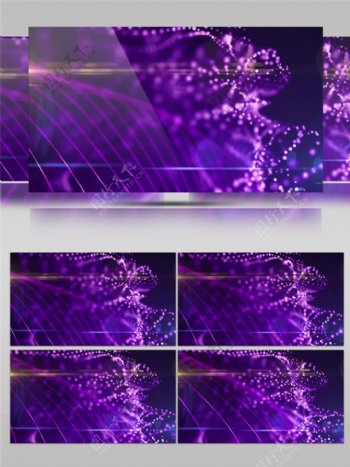 紫色风琴光束视频素材