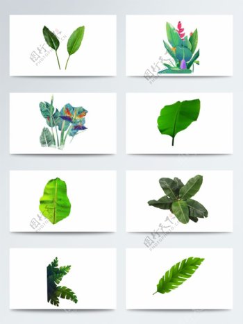 植物叶子绿色卡通手绘芭蕉PNG元素