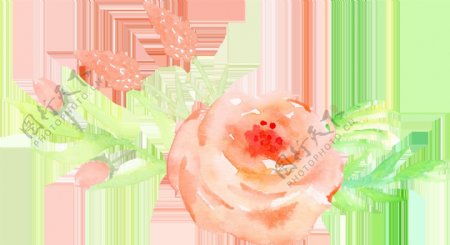 彩绘清新粉色玫瑰花朵绿色叶子png元素