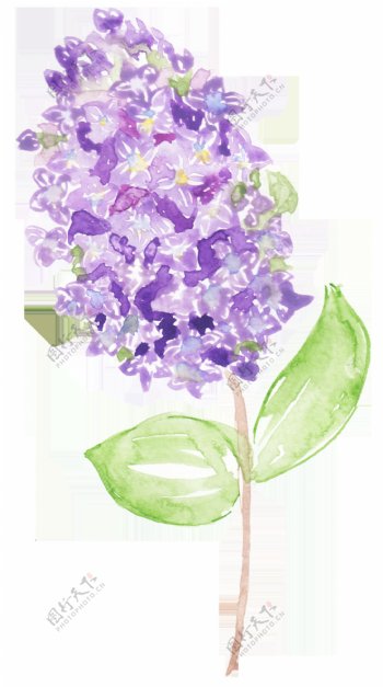 一枝手绘粉紫色花枝装饰素材