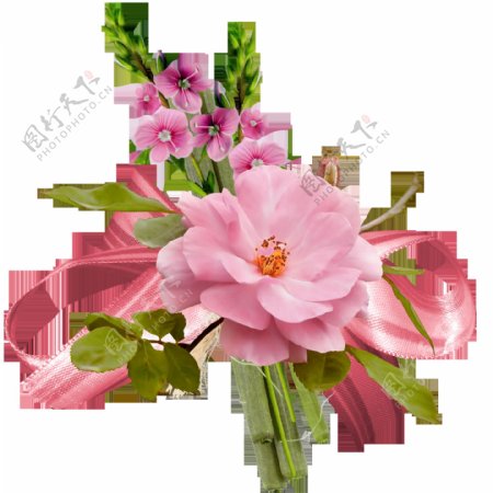 粉色盛开鲜花png元素