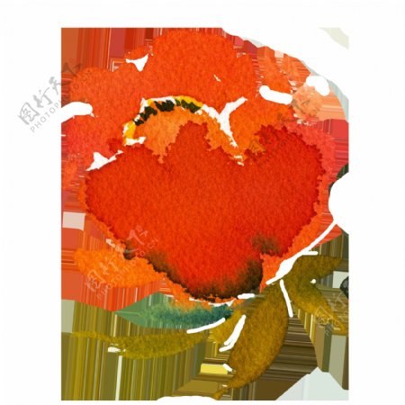 手绘橘红色渲染花png透明素材