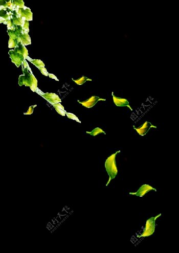 悬浮舞动的花瓣树叶透明装饰素材合集