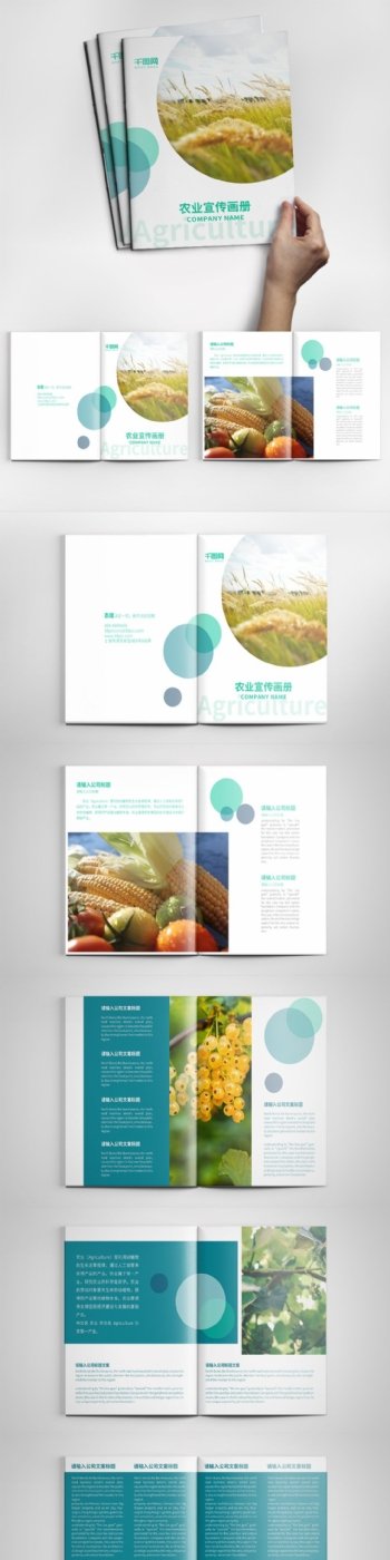 简约农业宣传画册设计PSD模板
