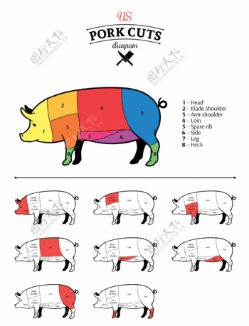彩色家禽分割猪插画