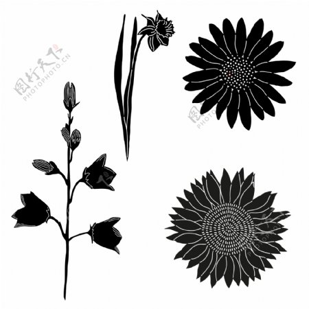 三种不一样的花朵透明黑色剪影