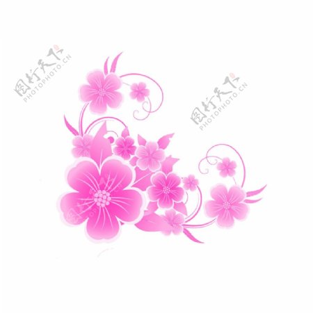 清新风格深粉色樱花装饰元素
