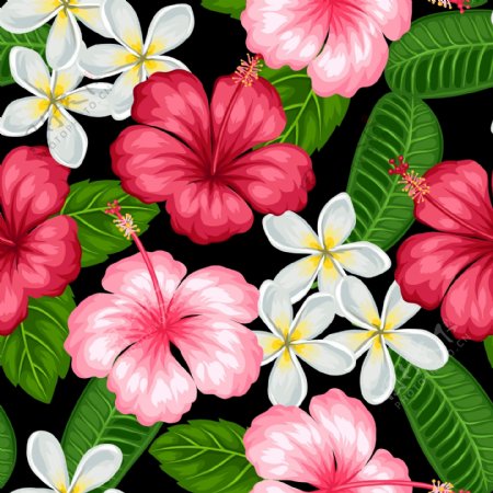 美丽的热带花朵植物