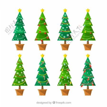 8款绿色圣诞树盆栽