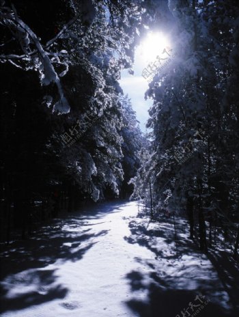 林海雪原