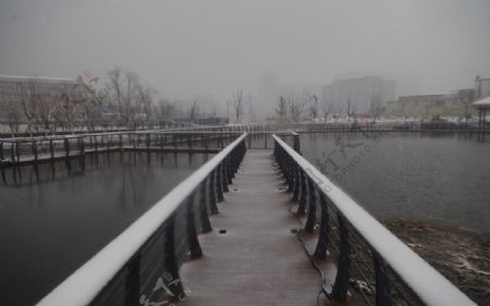 冬雪中的小桥