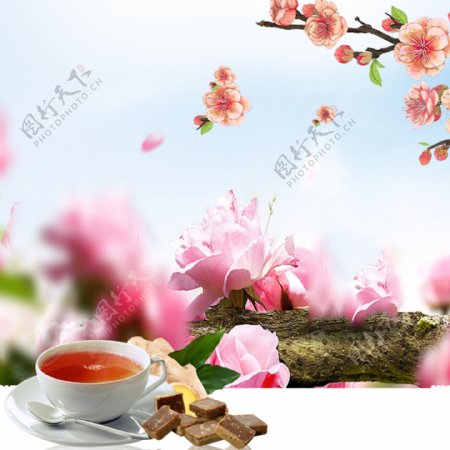 粉色花朵茶文化背景主图设计