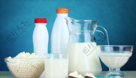 营养的牛奶和奶制品
