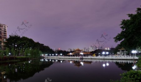 深圳荔枝公园夜景