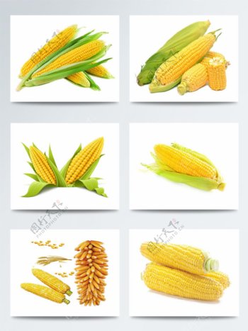 蔬菜玉米实物集合图案