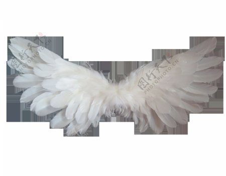 白色翅膀png元素