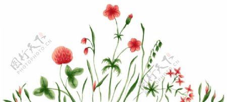 韩式唯美手绘花朵