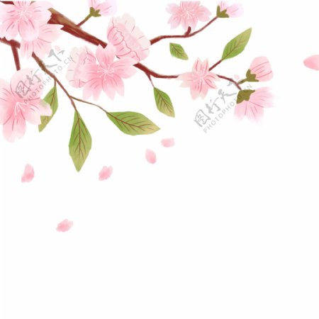 清新唯美樱花装饰设计