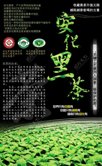 清新中国风黑茶包装设计海报黑色背景