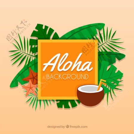 创意夏威夷棕榈树叶和椰汁框架矢量图