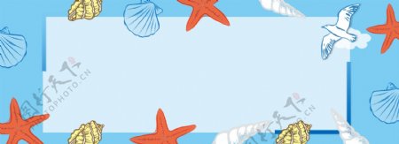 贝壳海星海洋生物卡通手绘小清新背景