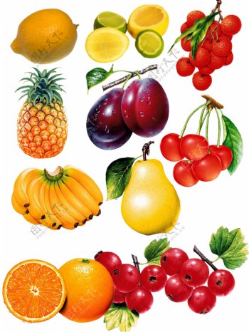 水果海报水果素材水果背景