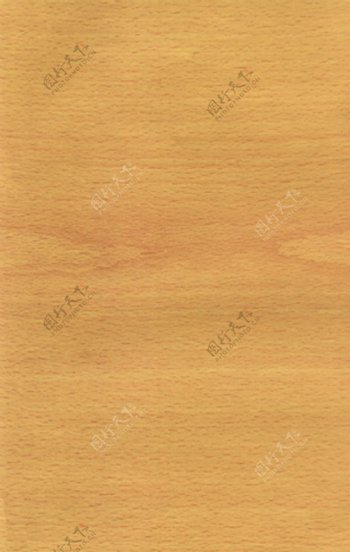 榉木木纹