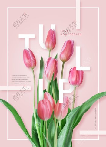 粉色郁金香花朵边框海报设计