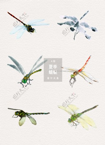 夏季蜻蜓psd装饰素材