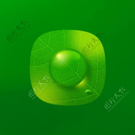 绿色树叶反光水滴icon
