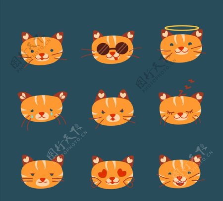 9款可爱橘色猫咪表情头像
