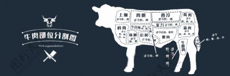 牛肉部位分割图宣传展板