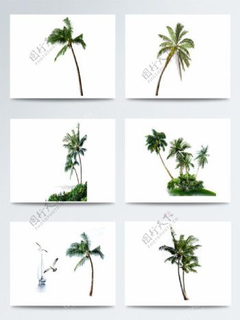 夏季沙滩旅行椰树