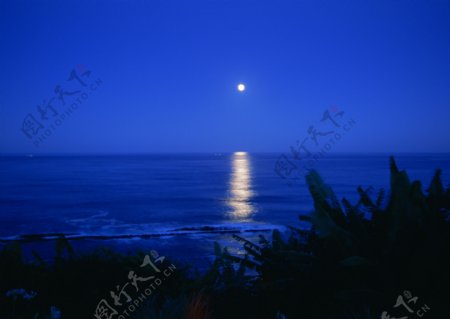 海水明月