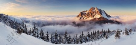 高山山峰雪山森林树林