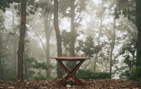 树林里的桌子