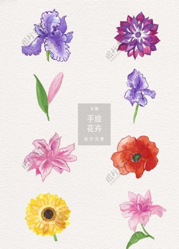 水彩手绘花卉花朵矢量素材