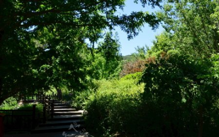 植物园风景