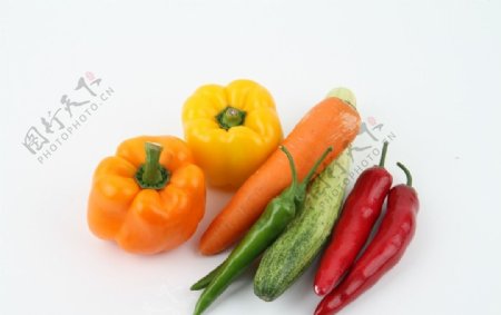 蔬菜农产品