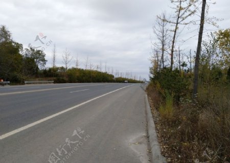 城市道路风景