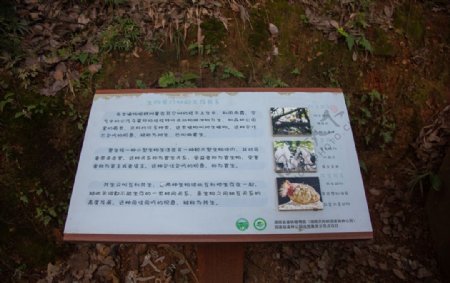 湖南省森林植物园